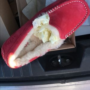 Women’s ugg size 5